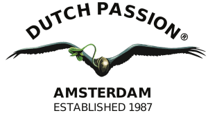 Dutch Passion - Feminized Cannabis Seeds - Autoflower cannabis seeds