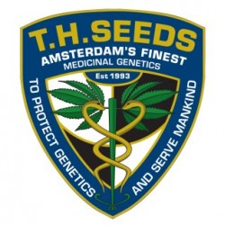 T.H.Seeds - Regular cannabis seeds