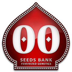 00 Seeds - Feminized Cannabis Seeds