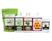 Starter Kit Organic Nutrients