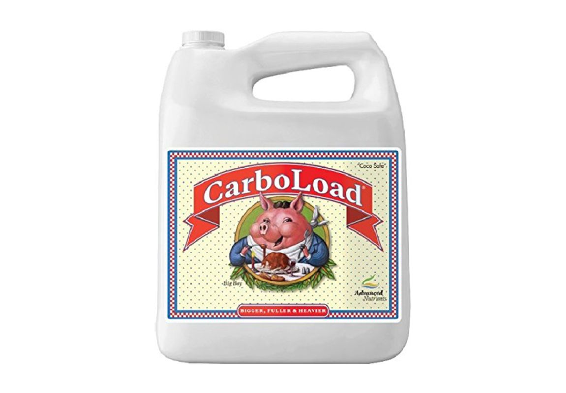 CarboLoad 5 L