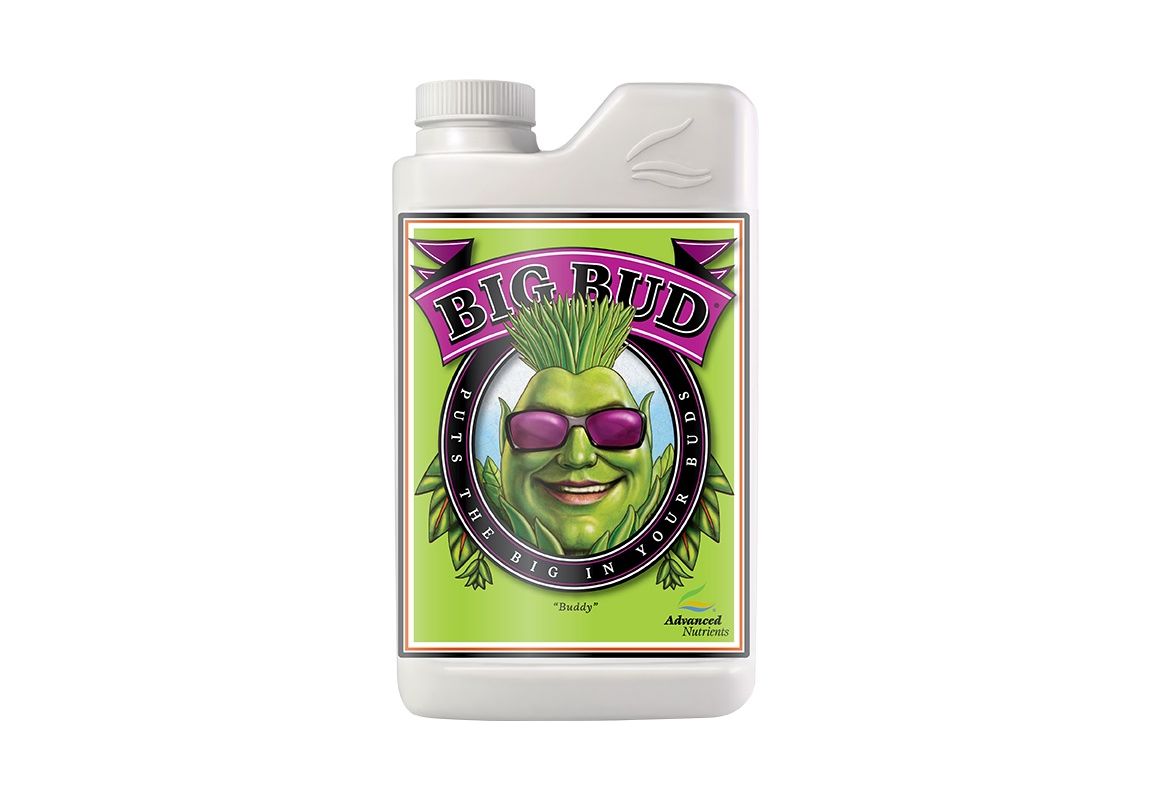 Big Bud  250 ml