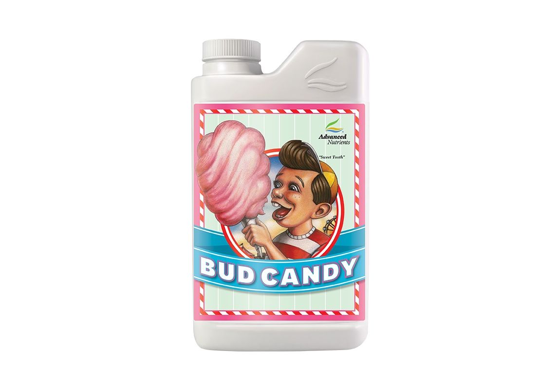 Bud Candy  500 ml