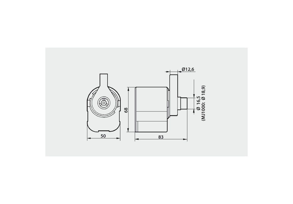 Water Pump Nutricultrure MJ - 1000 L/h
