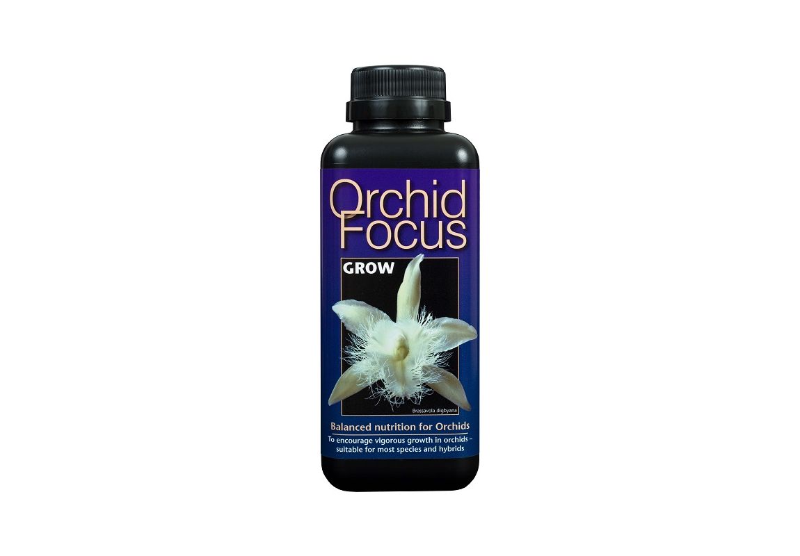 Orchid Focus Grow 1 L