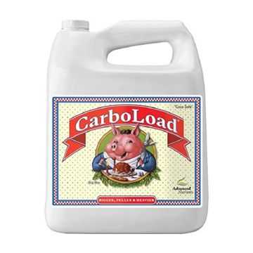 CarboLoad 4 L