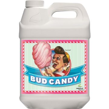 Bud Candy 5 L