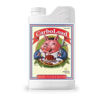 CarboLoad  500 ml