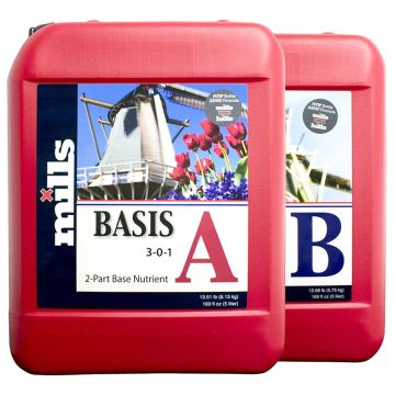 Mills Basis A+B  5 L