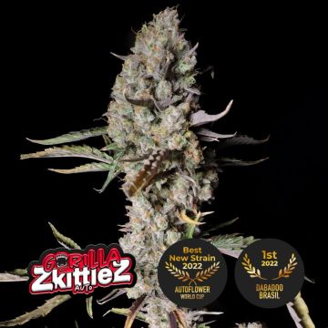 Gorilla ZKittlez Auto 3 seeds